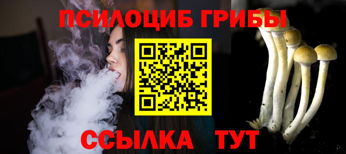 Галлюциногенные грибы прущие грибы Сергиев Посад